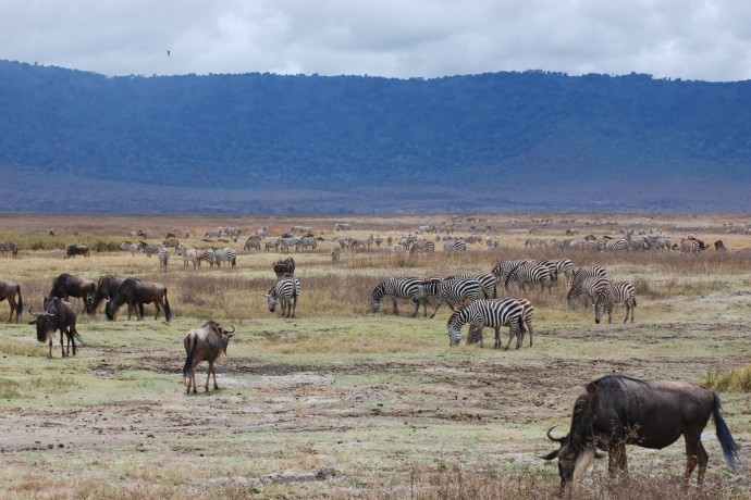 East Africa Fall 2016