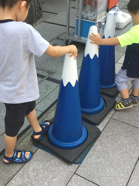 The Biodiversity of Fuji Images in Urban Environments