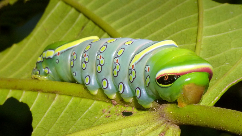 Pre-Ecuador Thoughts