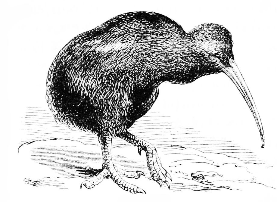 Simon’s Sample Post