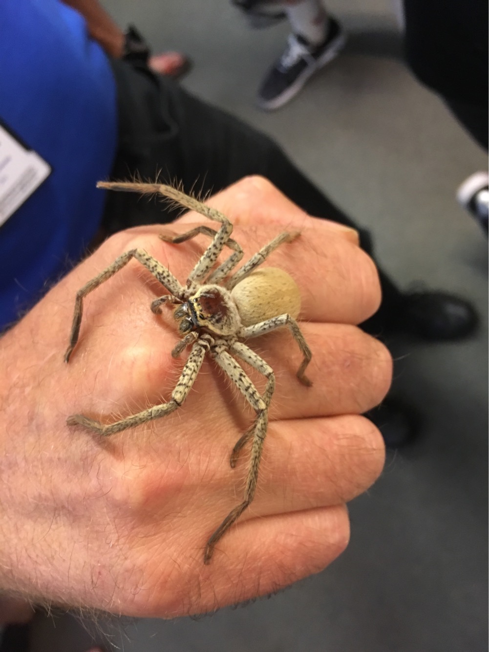 1/16/18, The Australian Museum